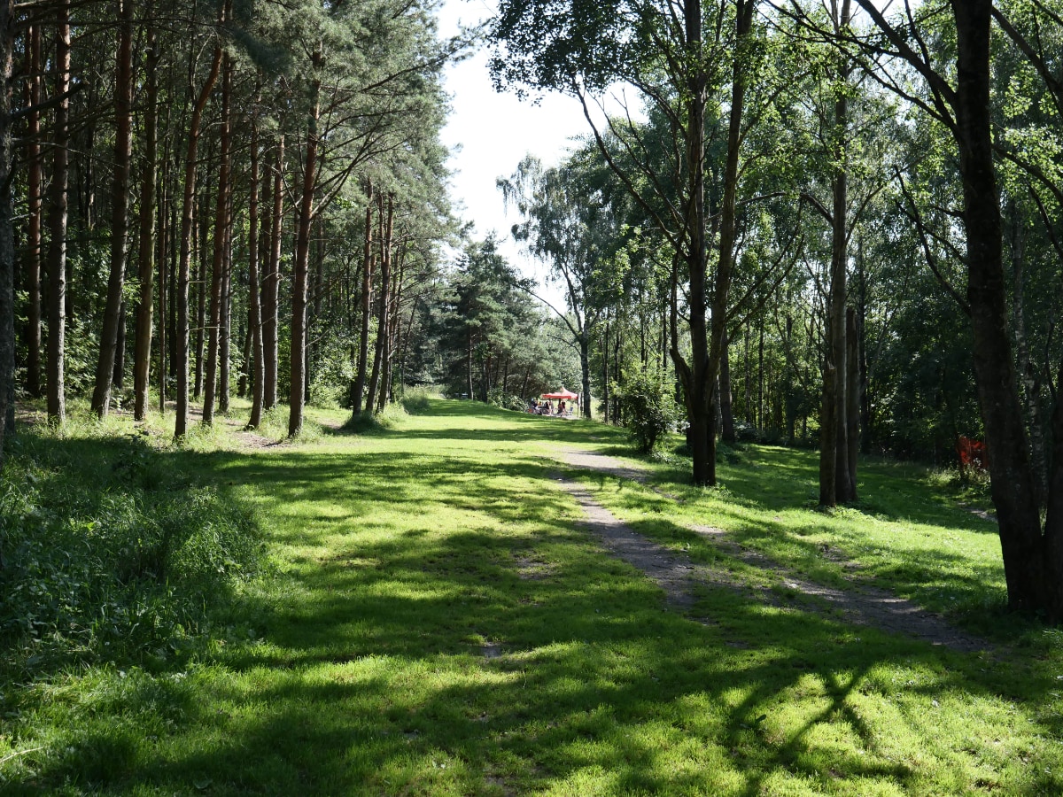 Pääkaupunkiseudun junior cup 2025